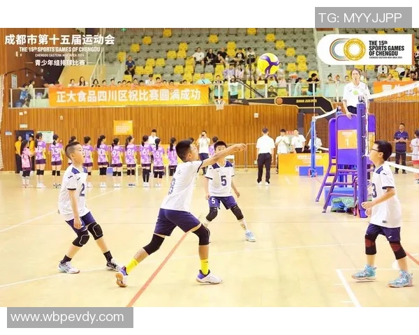 成都排球队迎来速度革命引发热议与关注 成都排球队迎来速度革命引发热议与关注